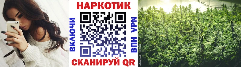 Наркошоп Дегтярск Гашиш  СОЛЬ  Мефедрон  ГЕРОИН  COCAIN  Псилоцибиновые грибы 
