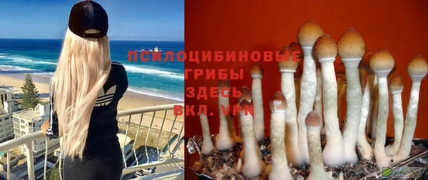 дмт Магадан