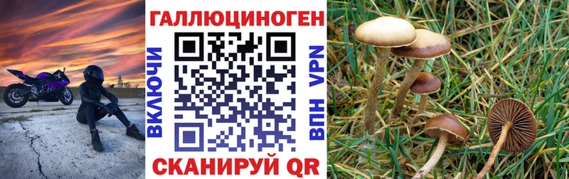 Галлюциногенные грибы прущие грибы Дегтярск