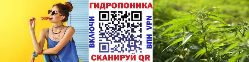 Конопля сатива  Дегтярск 